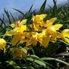 minagarcia228